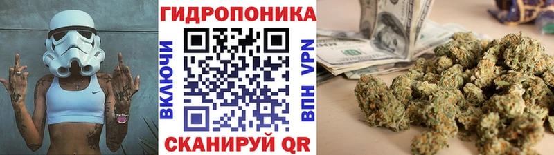 kraken   Эртиль  Каннабис Bruce Banner 